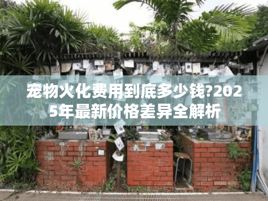 宠物火化费用到底多少钱?2025年最新价格差异全解析
