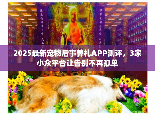 2025最新宠物后事葬礼APP测评,3家小众平台让告别不再孤单 2025最新宠物后事葬礼APP测评,3家小众平台让告别不再孤单