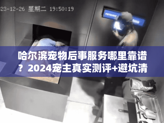 哈尔滨宠物后事服务哪里靠谱？2024宠主真实测评+避坑清单