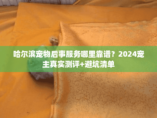 哈尔滨宠物后事服务哪里靠谱？2024宠主真实测评+避坑清单