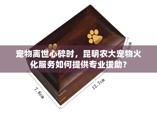 宠物离世心碎时，昆明农大宠物火化服务如何提供专业援助？