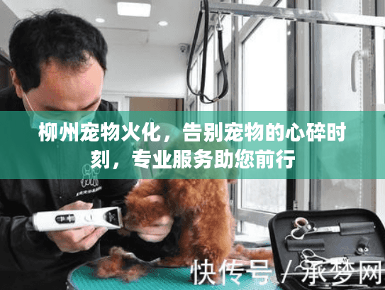柳州宠物火化，告别宠物的心碎时刻，专业服务助您前行