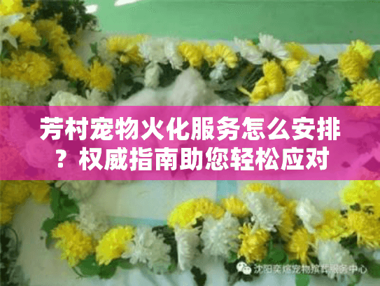 芳村宠物火化服务怎么安排？权威指南助您轻松应对