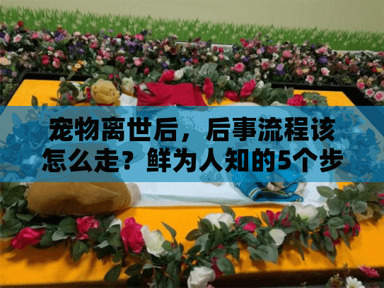 宠物离世后,后事流程该怎么走?鲜为人知的5个步骤+服务选择避坑技巧 宠物离世后,后事流程该怎么走?鲜为人知的5个步骤+服务选择避坑技巧