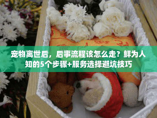 宠物离世后,后事流程该怎么走?鲜为人知的5个步骤+服务选择避坑技巧 宠物离世后,后事流程该怎么走?鲜为人知的5个步骤+服务选择避坑技巧