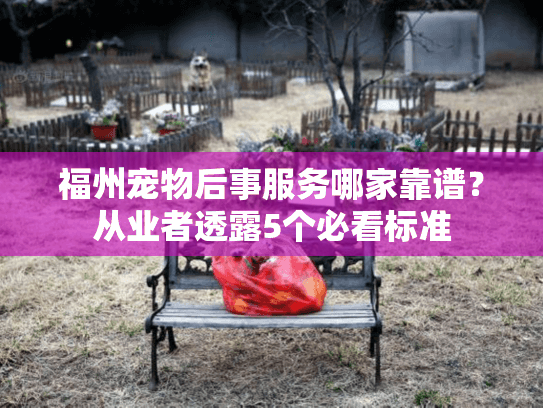 福州宠物后事服务哪家靠谱？从业者透露5个必看标准