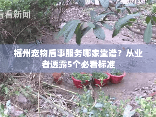 福州宠物后事服务哪家靠谱？从业者透露5个必看标准