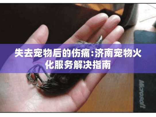 失去宠物后的伤痛:济南宠物火化服务解决指南