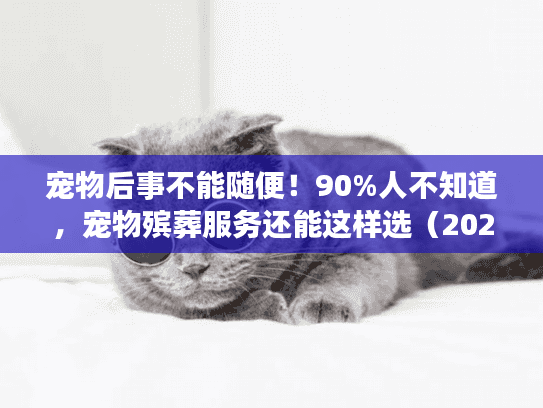 宠物后事不能随便！90%人不知道，宠物殡葬服务还能这样选（2025最新）