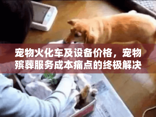 宠物火化车及设备价格，宠物殡葬服务成本痛点的终极解决方案