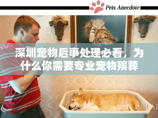 深圳宠物后事处理必看，为什么你需要专业宠物殡葬服务？内附真实案例）