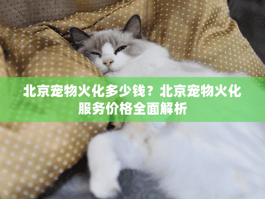 北京宠物火化多少钱？北京宠物火化服务价格全面解析