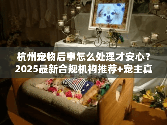 杭州宠物后事怎么处理才安心？2025最新合规机构推荐+宠主真实案例