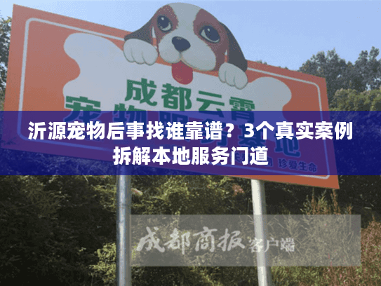 沂源宠物后事找谁靠谱？3个真实案例拆解本地服务门道
