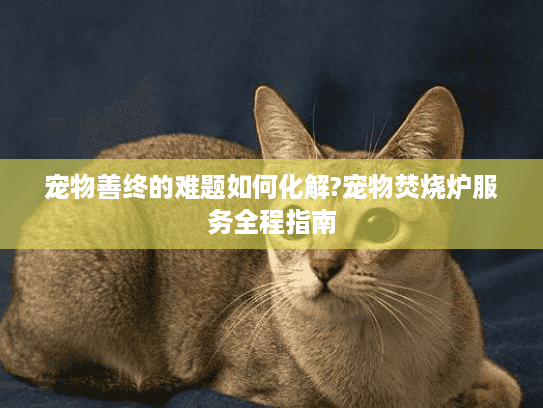 宠物善终的难题如何化解?宠物焚烧炉服务全程指南