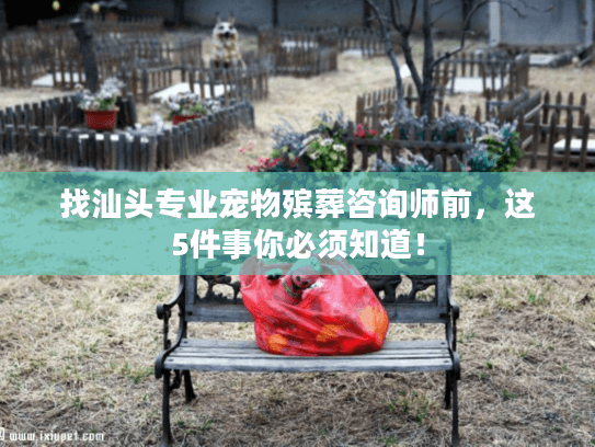找汕头专业宠物殡葬咨询师前，这5件事你必须知道！