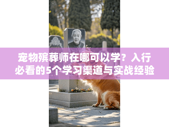 宠物殡葬师在哪可以学?入行必看的5个学习渠道与实战经验分享 宠物殡葬师在哪可以学?入行必看的5个学习渠道与实战经验分享