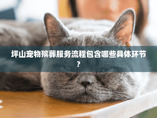 坪山宠物殡葬服务流程包含哪些具体环节?