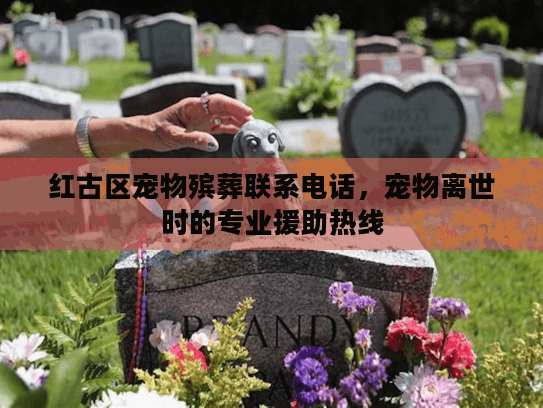 红古区宠物殡葬联系电话，宠物离世时的专业援助热线