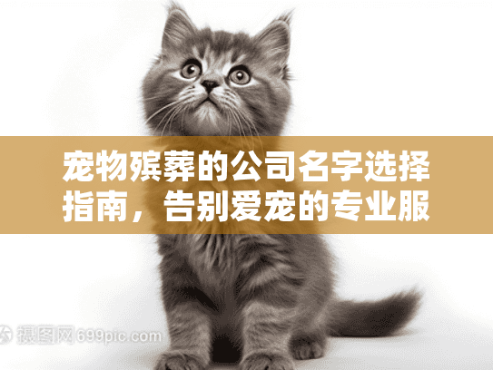 宠物殡葬的公司名字选择指南，告别爱宠的专业服务推荐