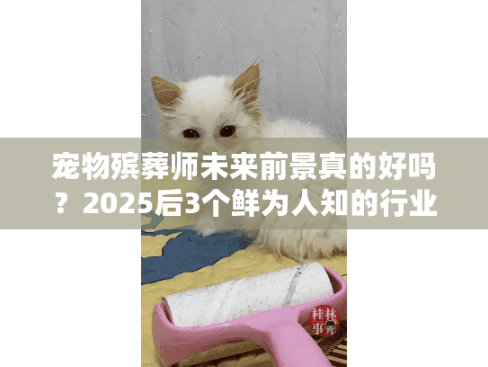 宠物殡葬师未来前景真的好吗？2025后3个鲜为人知的行业趋势与赚钱机会