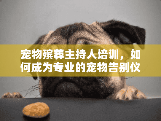 宠物殡葬主持人培训，如何成为专业的宠物告别仪式主持人？