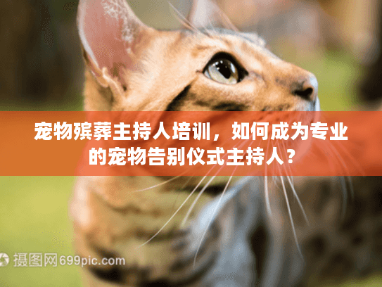 宠物殡葬主持人培训，如何成为专业的宠物告别仪式主持人？