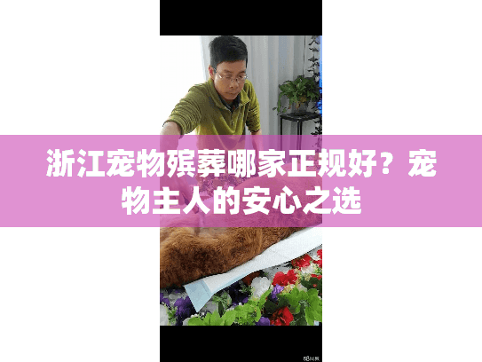 浙江宠物殡葬哪家正规好？宠物主人的安心之选