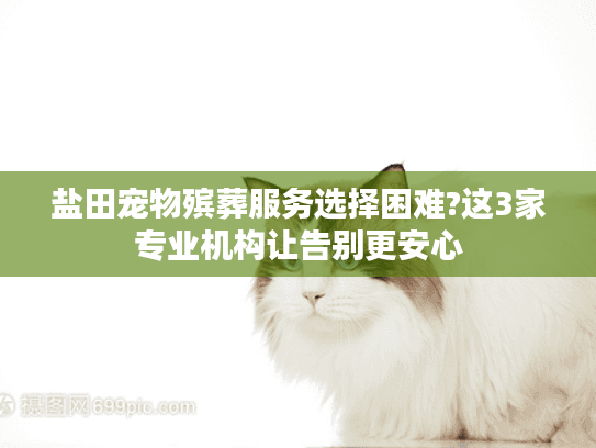 盐田宠物殡葬服务选择困难?这3家专业机构让告别更安心