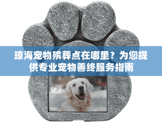 琼海宠物殡葬点在哪里？为您提供专业宠物善终服务指南