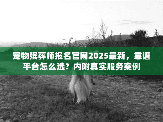 宠物殡葬师报名官网2025最新，靠谱平台怎么选？内附真实服务案例