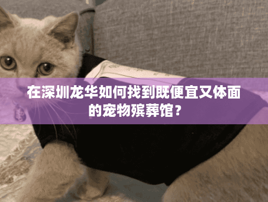 在深圳龙华如何找到既便宜又体面的宠物殡葬馆？