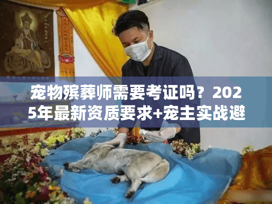 宠物殡葬师需要考证吗?2025年最新资质要求+宠主实战避坑技巧 宠物殡葬师需要考证吗?2025年最新资质要求+宠主实战避坑技巧