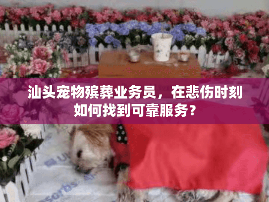 汕头宠物殡葬业务员，在悲伤时刻如何找到可靠服务？