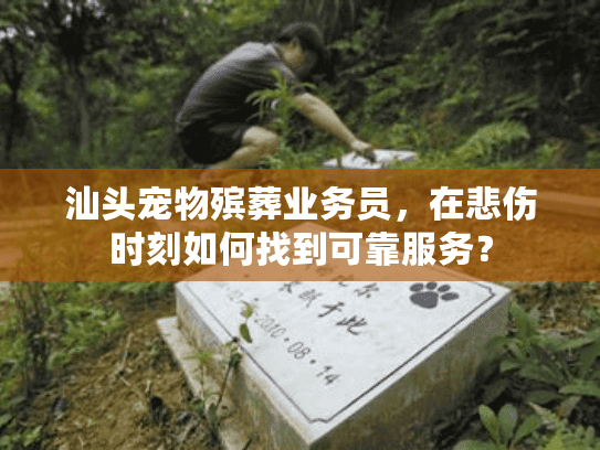汕头宠物殡葬业务员，在悲伤时刻如何找到可靠服务？