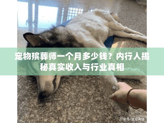 宠物殡葬师一个月多少钱？内行人揭秘真实收入与行业真相