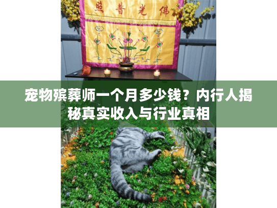 宠物殡葬师一个月多少钱？内行人揭秘真实收入与行业真相