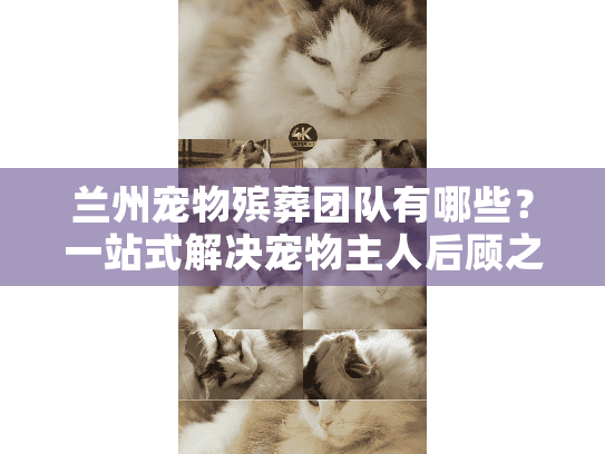 兰州宠物殡葬团队有哪些？一站式解决宠物主人后顾之忧