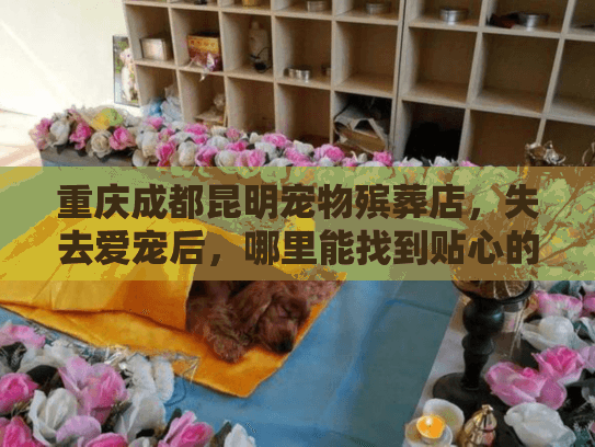 重庆成都昆明宠物殡葬店，失去爱宠后，哪里能找到贴心的告别服务？