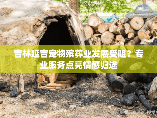 吉林延吉宠物殡葬业发展受阻？专业服务点亮情感归途