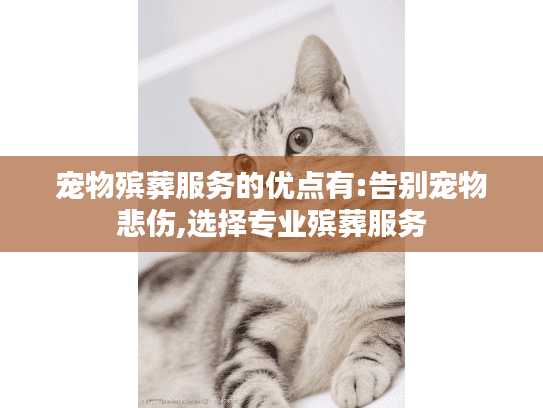 宠物殡葬服务的优点有:告别宠物悲伤,选择专业殡葬服务