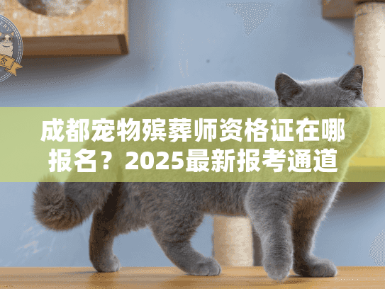 成都宠物殡葬师资格证在哪报名？2025最新报考通道+行业内参首次公开