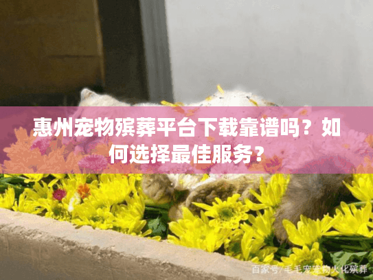 惠州宠物殡葬平台下载靠谱吗？如何选择最佳服务？