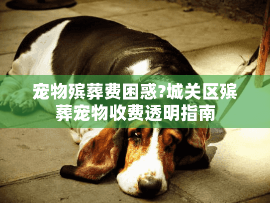 宠物殡葬费困惑?城关区殡葬宠物收费透明指南