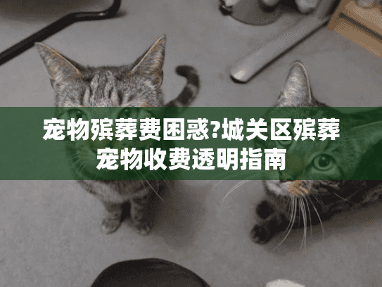 宠物殡葬费困惑?城关区殡葬宠物收费透明指南