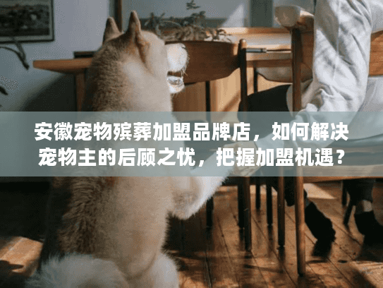 安徽宠物殡葬加盟品牌店，如何解决宠物主的后顾之忧，把握加盟机遇？