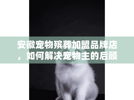 安徽宠物殡葬加盟品牌店，如何解决宠物主的后顾之忧，把握加盟机遇？