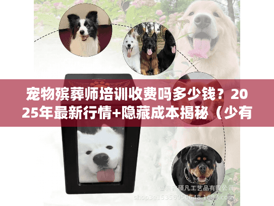 宠物殡葬师培训收费吗多少钱？2025年最新行情+隐藏成本揭秘（少有人知）
