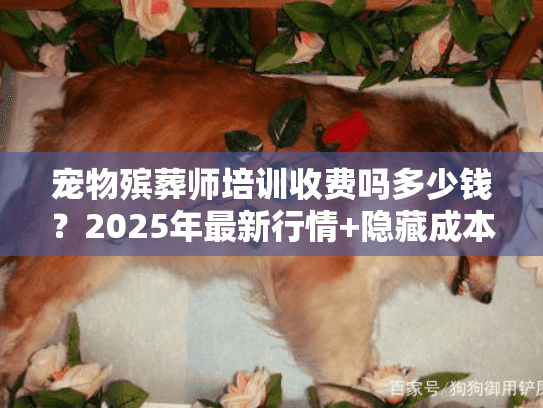 宠物殡葬师培训收费吗多少钱？2025年最新行情+隐藏成本揭秘（少有人知）