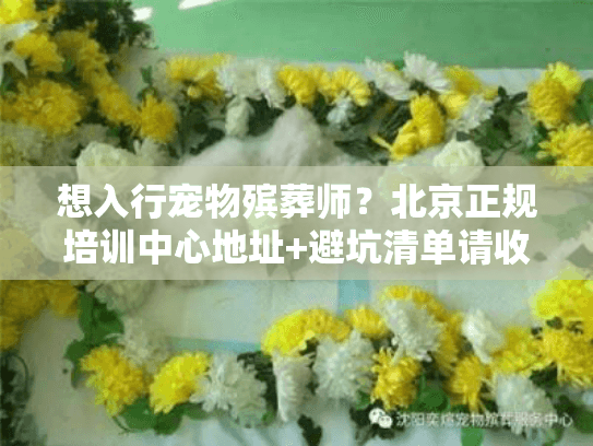 想入行宠物殡葬师?北京正规培训中心地址+避坑清单请收好! 想入行宠物殡葬师?北京正规培训中心地址+避坑清单请收好!